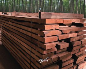 شرکت بازرگانی پنجه ای برترین مجموعه در حوزه واردات چوب راش رومانی